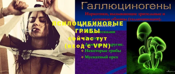 a pvp Заводоуковск