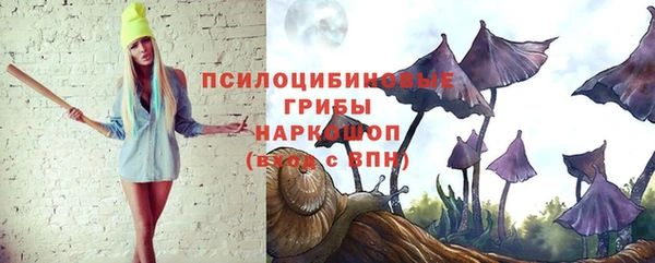 a pvp Заводоуковск