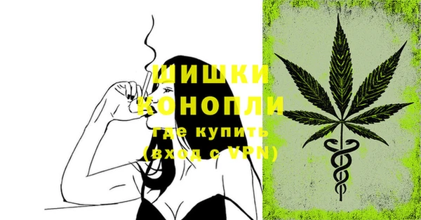 a pvp Заводоуковск